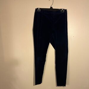 Banana Republic Midnight Blue Trousers